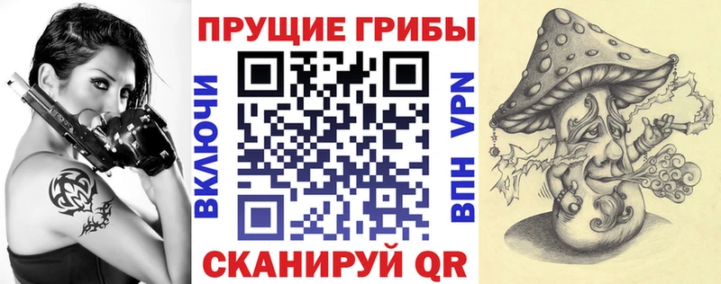 купить  сайты  Ивдель  Псилоцибиновые грибы MAGIC MUSHROOMS 